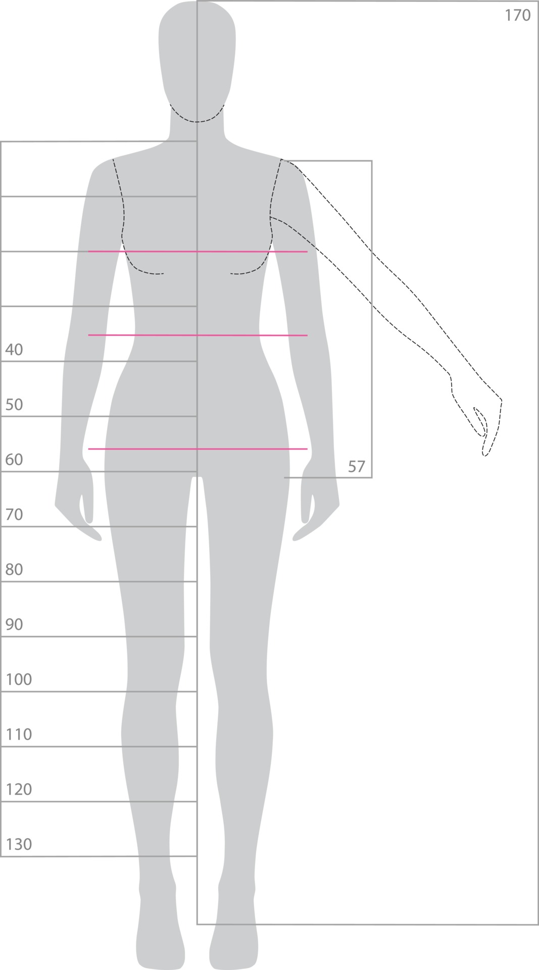 How to Use a Body Measurement Chart + Printable for Men & Women  Body  measurement chart, Body measurements, Body measurements chart printable