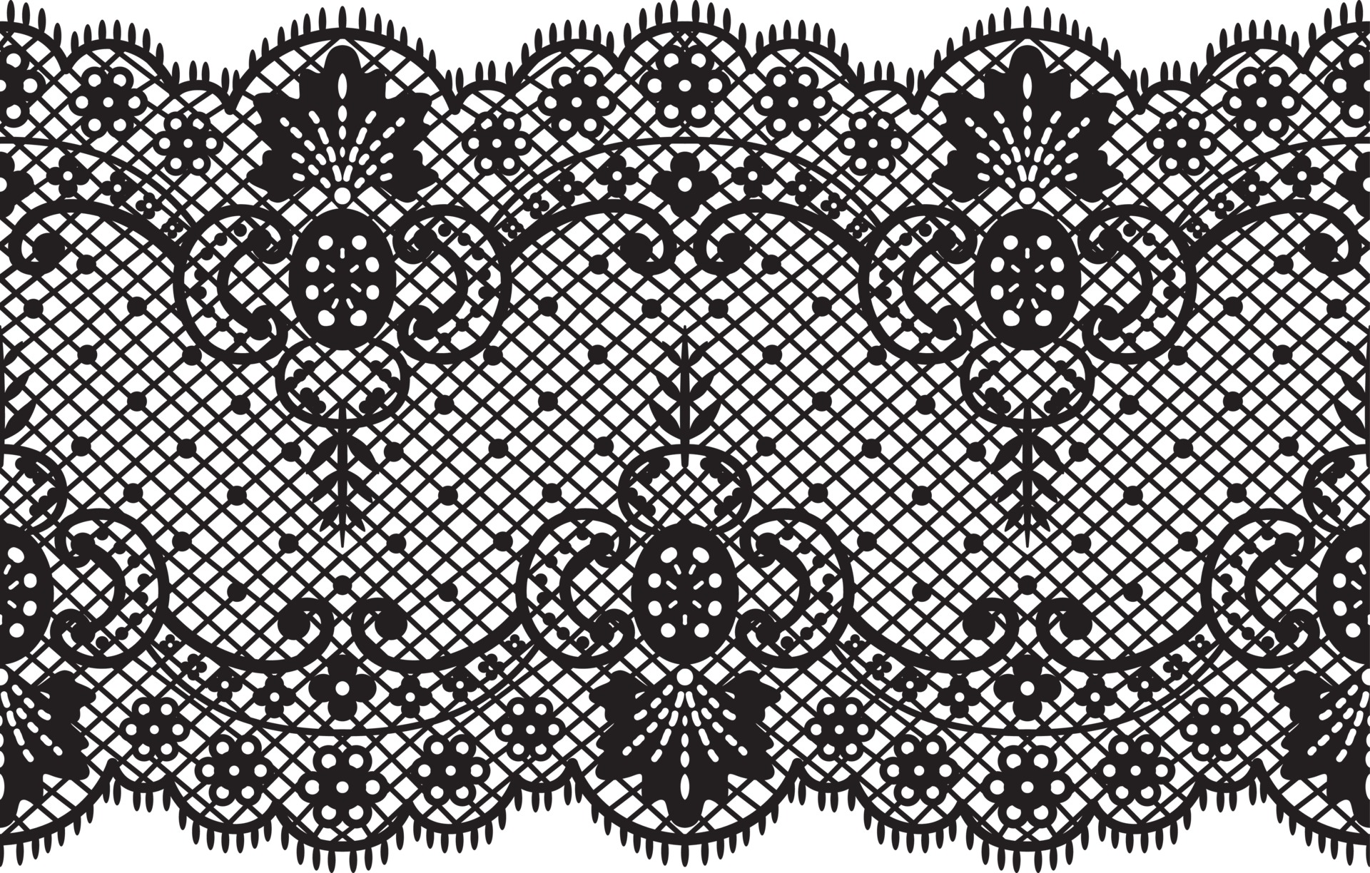 White Lace Texture Vector