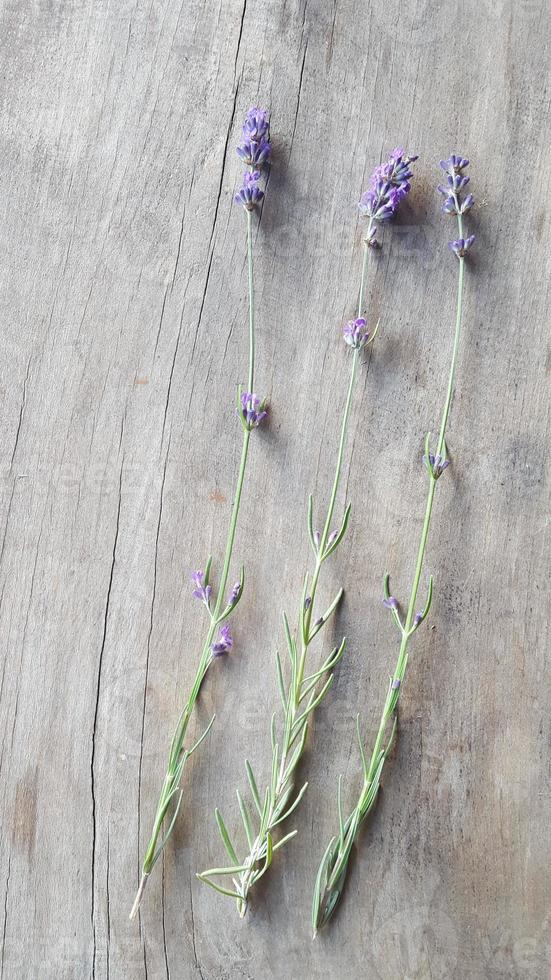 Fresz shoots of lavender flower on en old wood table photo