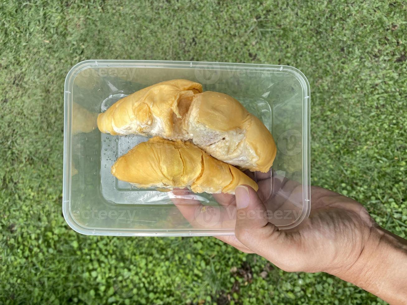 una mano sosteniendo durians dentro de un recipiente de plástico, listo para llevar. foto