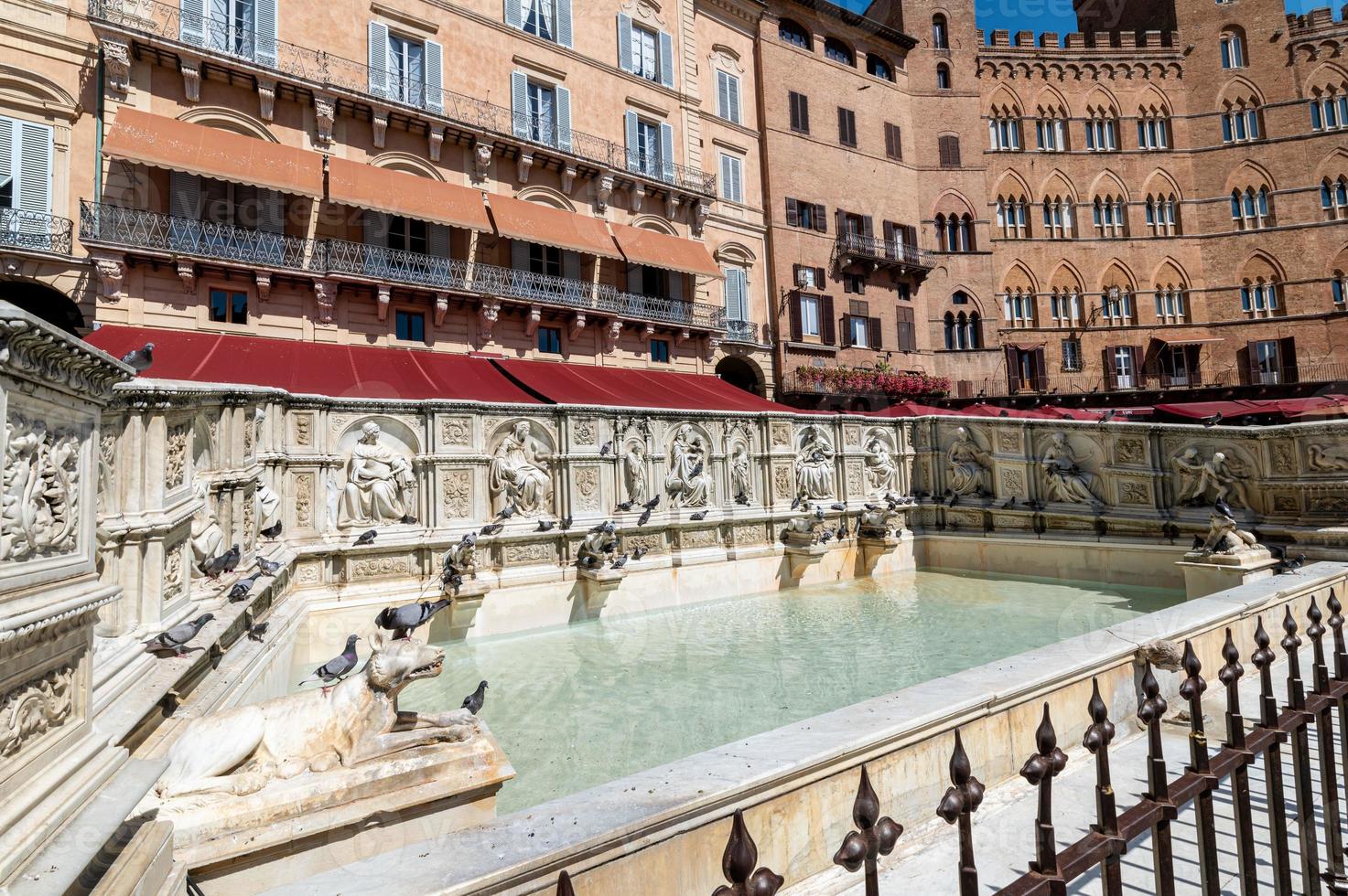 fuente en la piazza del campo foto