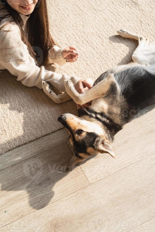 Beautiful woman with playful dog embracing at home photo