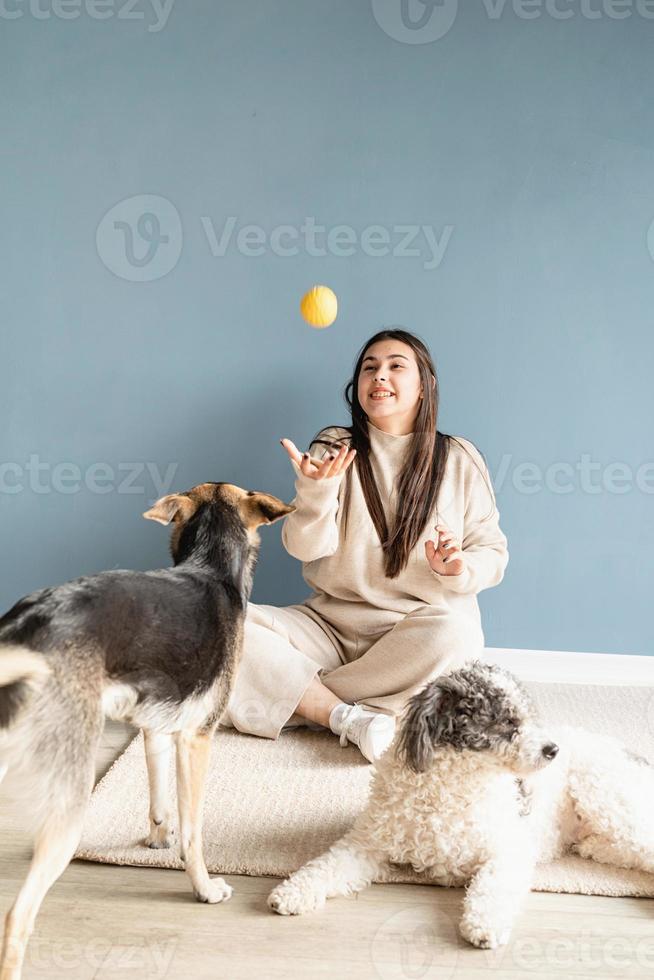 Bella mujer con perro de raza mixta jugando a la pelota en casa foto