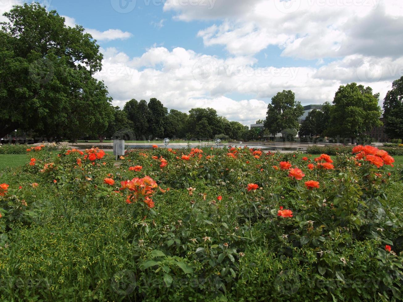 Jardines en Stuttgart, Alemania foto