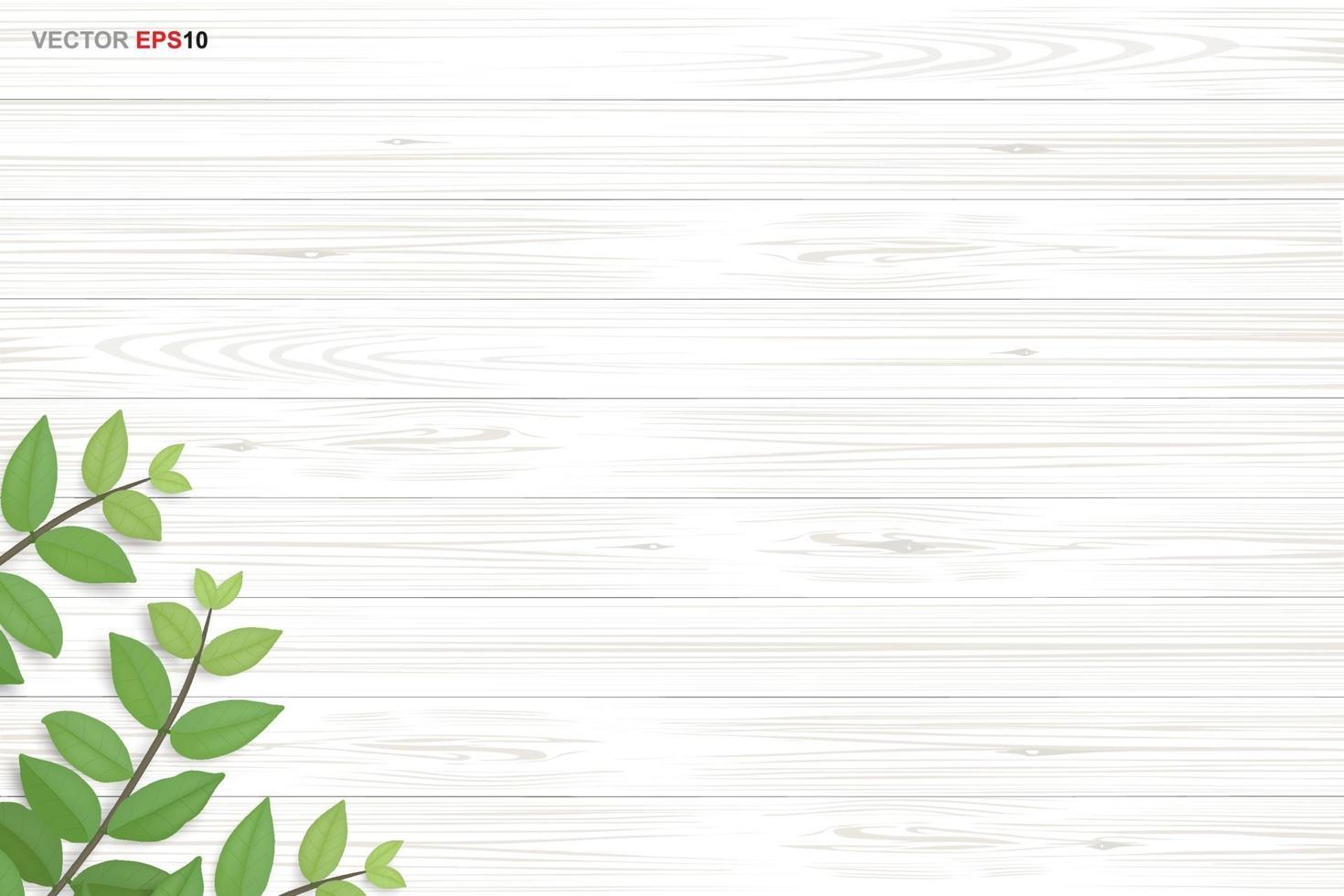 Wood texture background with green leaves.  Vector illustration.