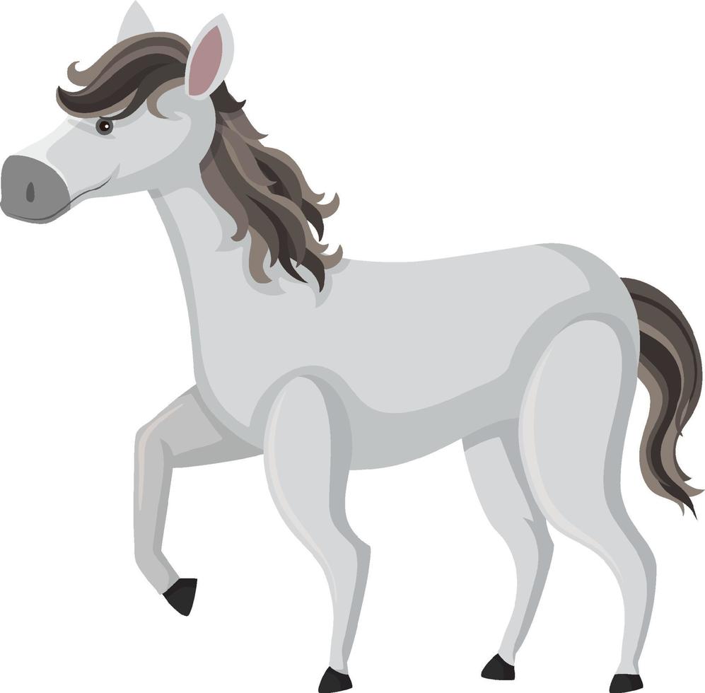 Cute horse on white background vector