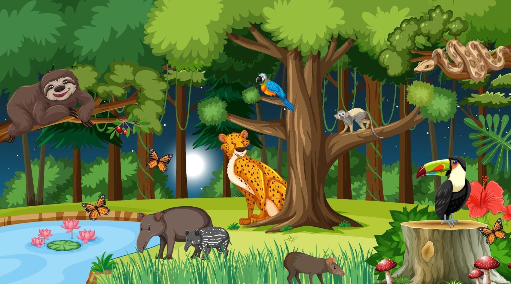 Forest at night landscape scene with different wild animals vector