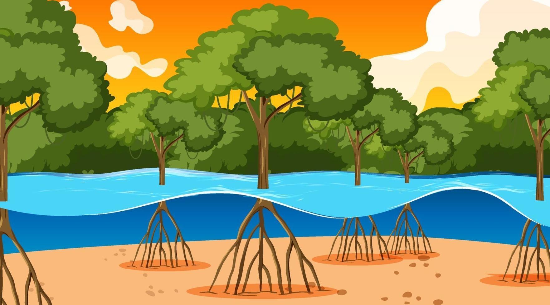 Escena de la naturaleza con bosque de manglares al atardecer en estilo de dibujos animados vector