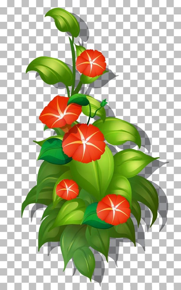 Tropical flower and leaf vector