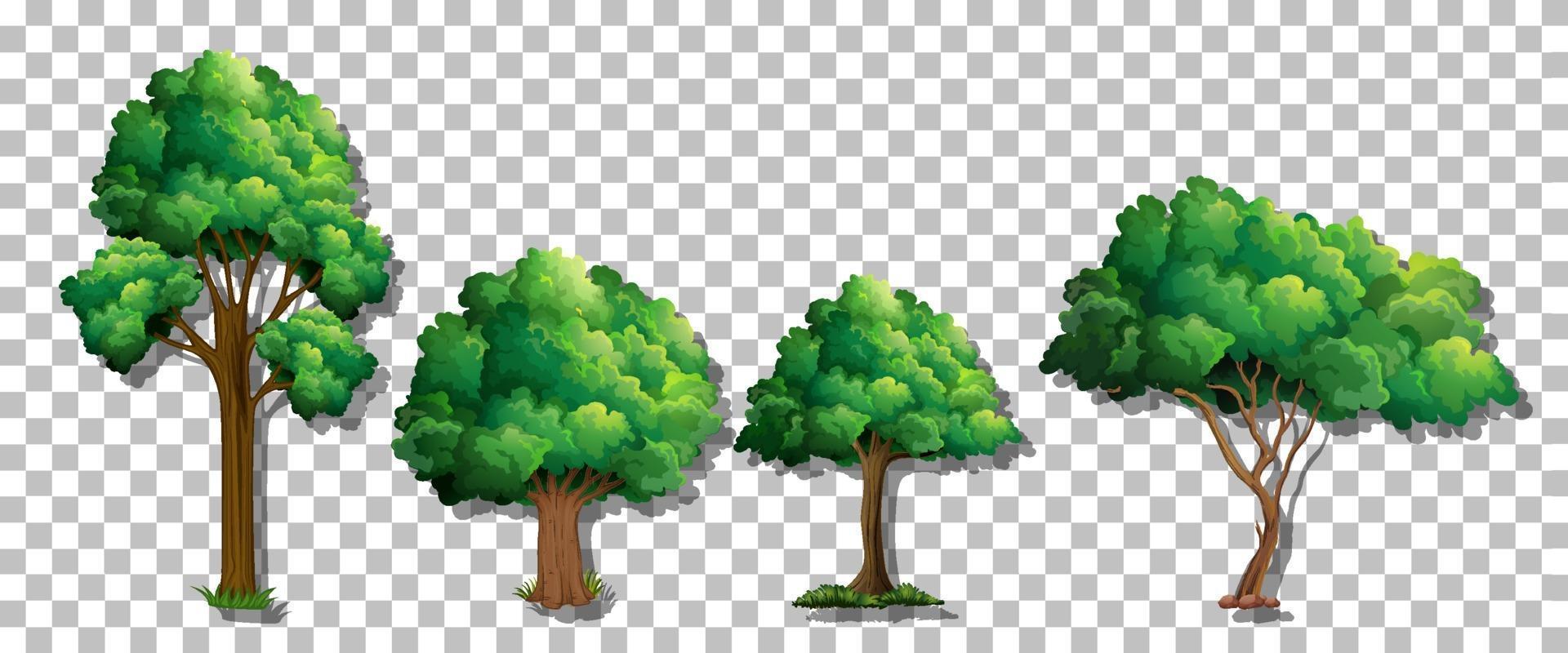 Set of various trees vector