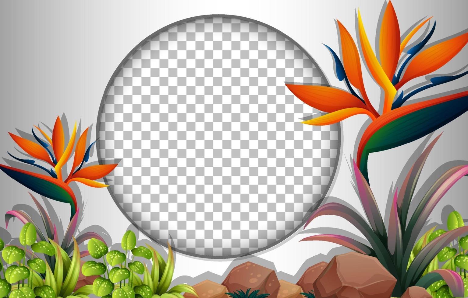 Round frame with tropical flowers and leaves template vector