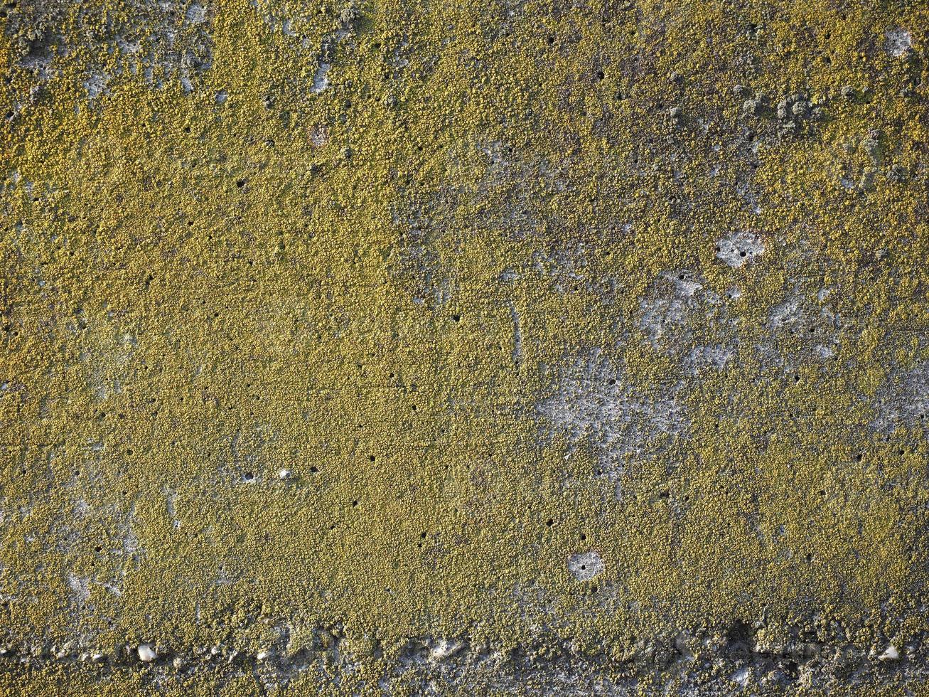 Concrete texture background photo