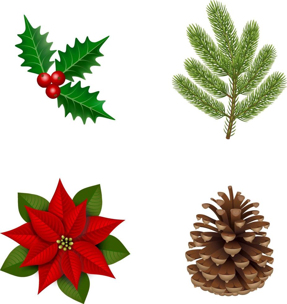 acebo, piña, flor de pascua y rama de pino para decoraciones navideñas vector