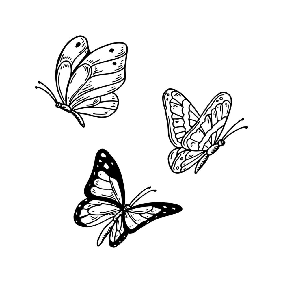 Set of hand drawn butterflies vector