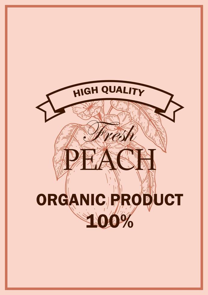 Hand drawn peach design. Vector illustration in sketch style