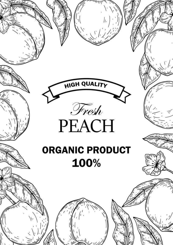 Hand drawn peach design. Vector illustration in sketch style