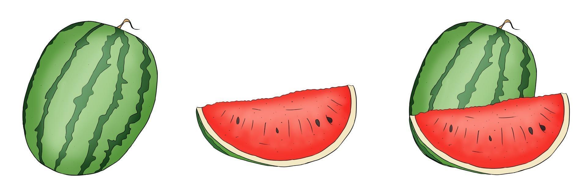 fruta de sandía dibujada a mano con una ilustración de vector de rebanada