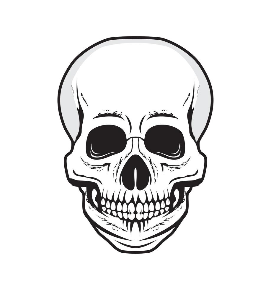 Detailed human skull head design illustration vector