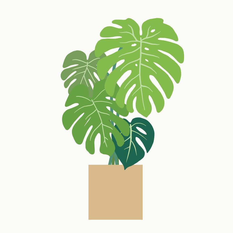 Simplicity monstera plant freehand drawing flat design. vector