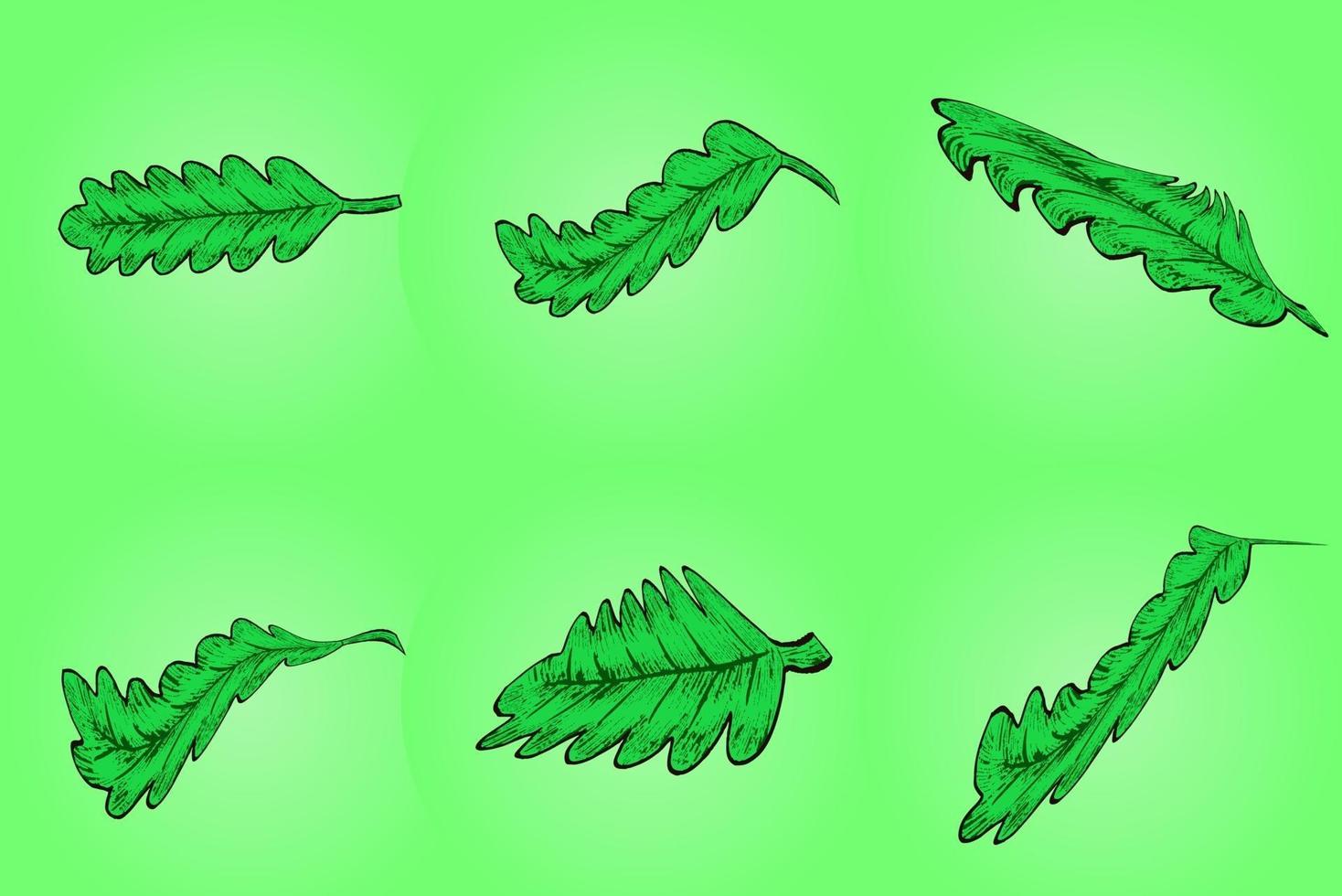 Set of green leaf with hand drawn style for graphic resources vector