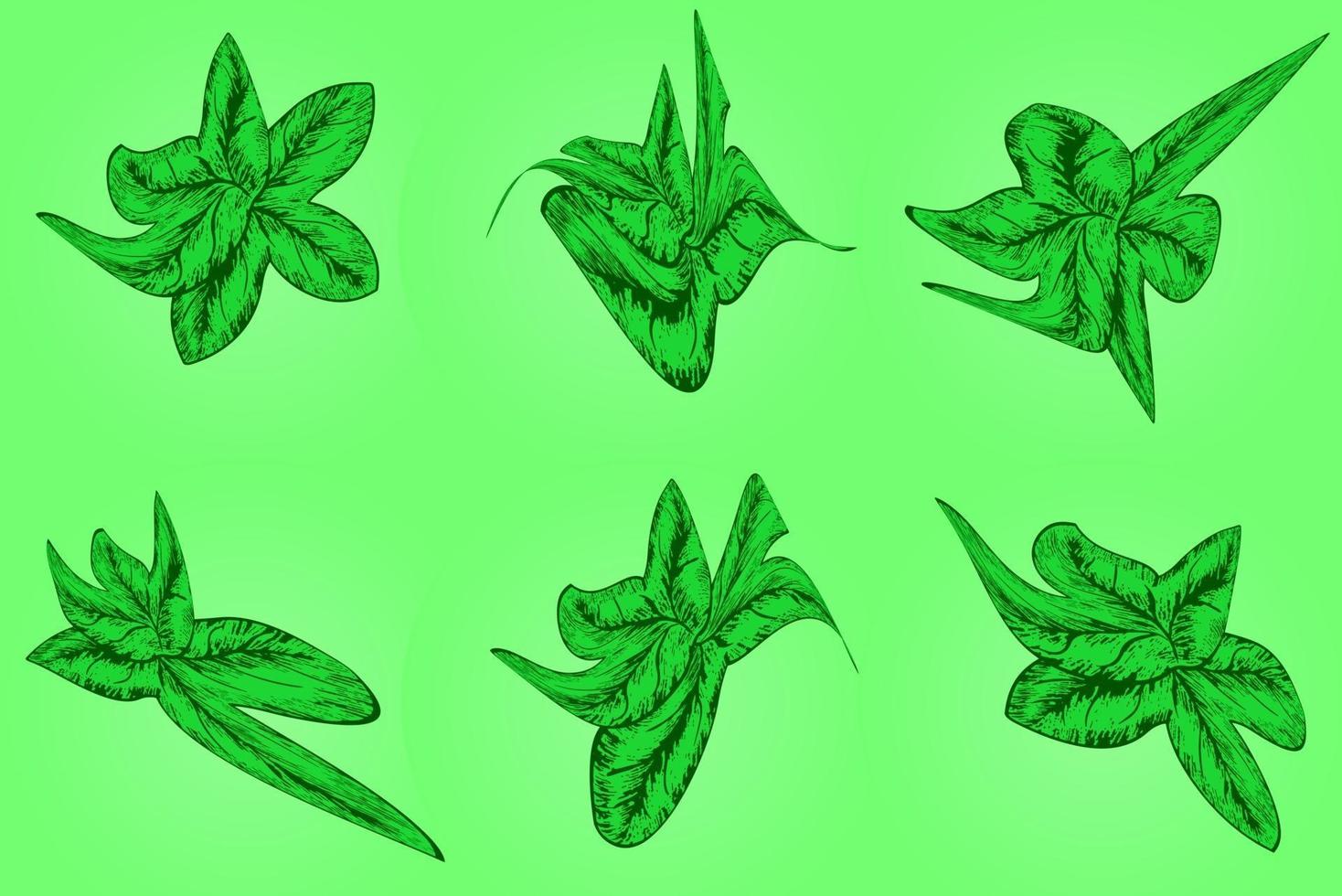 Set of green leaf with hand drawn style for graphic resources vector