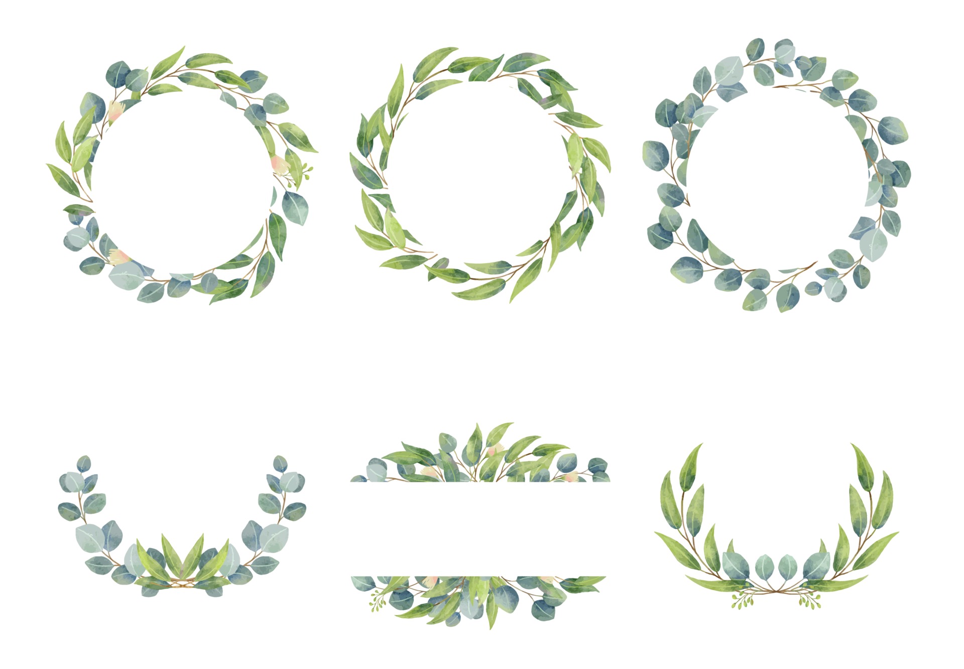 Eucalyptus branches wreaths with watercolor style. Wedding greenery
