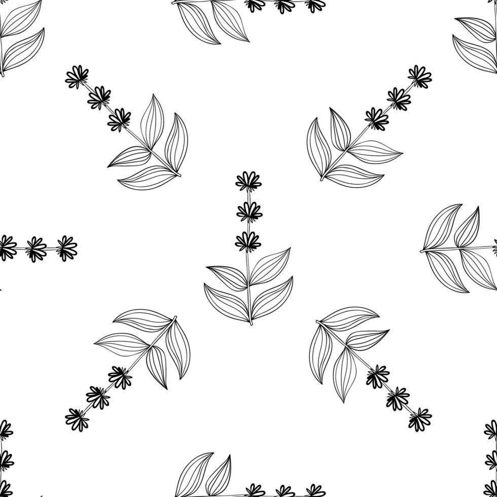 gentian, seamless b-w vector