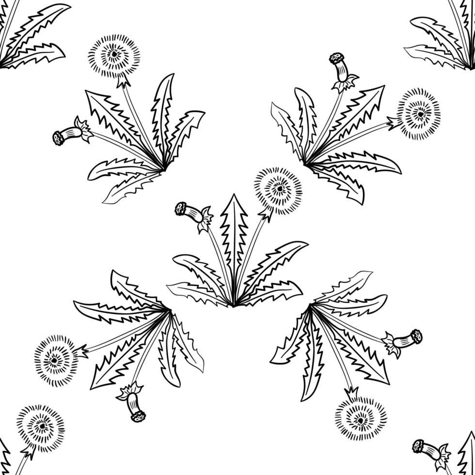 dandelion, seamless b-w vector
