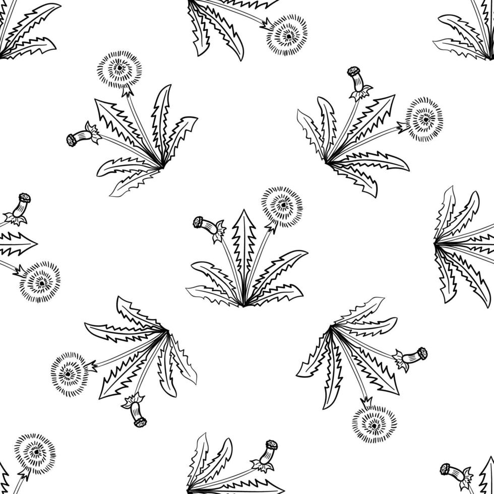 dandelion, seamless b-w vector