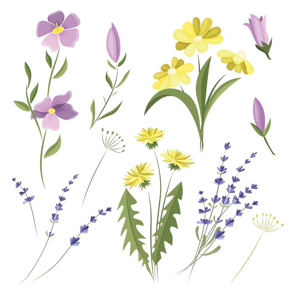 vector conjunto de flores silvestres. elementos de diseño. flores del prado.