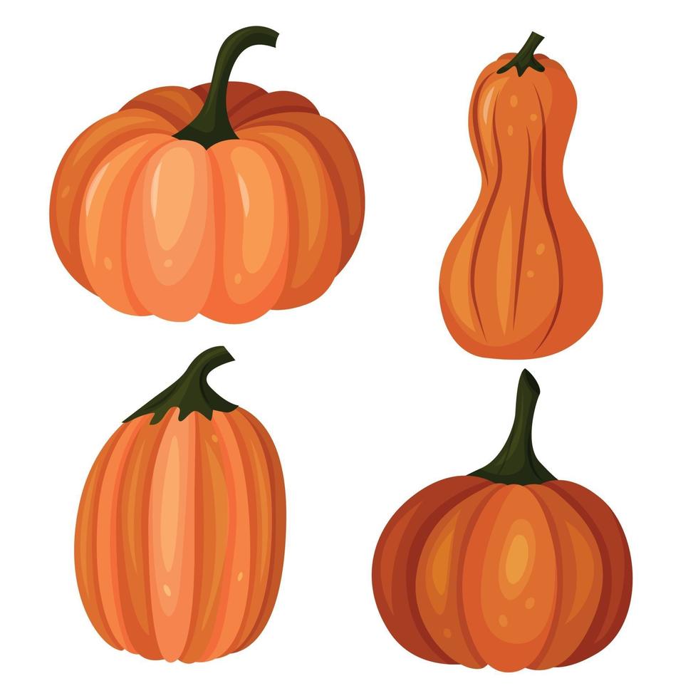 Vector set of four pumpkins in a cartoon style. A set for Halloween.