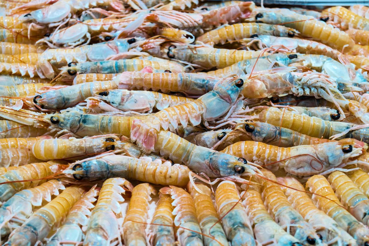 Camarones y langosta en un mercado de pescado español foto