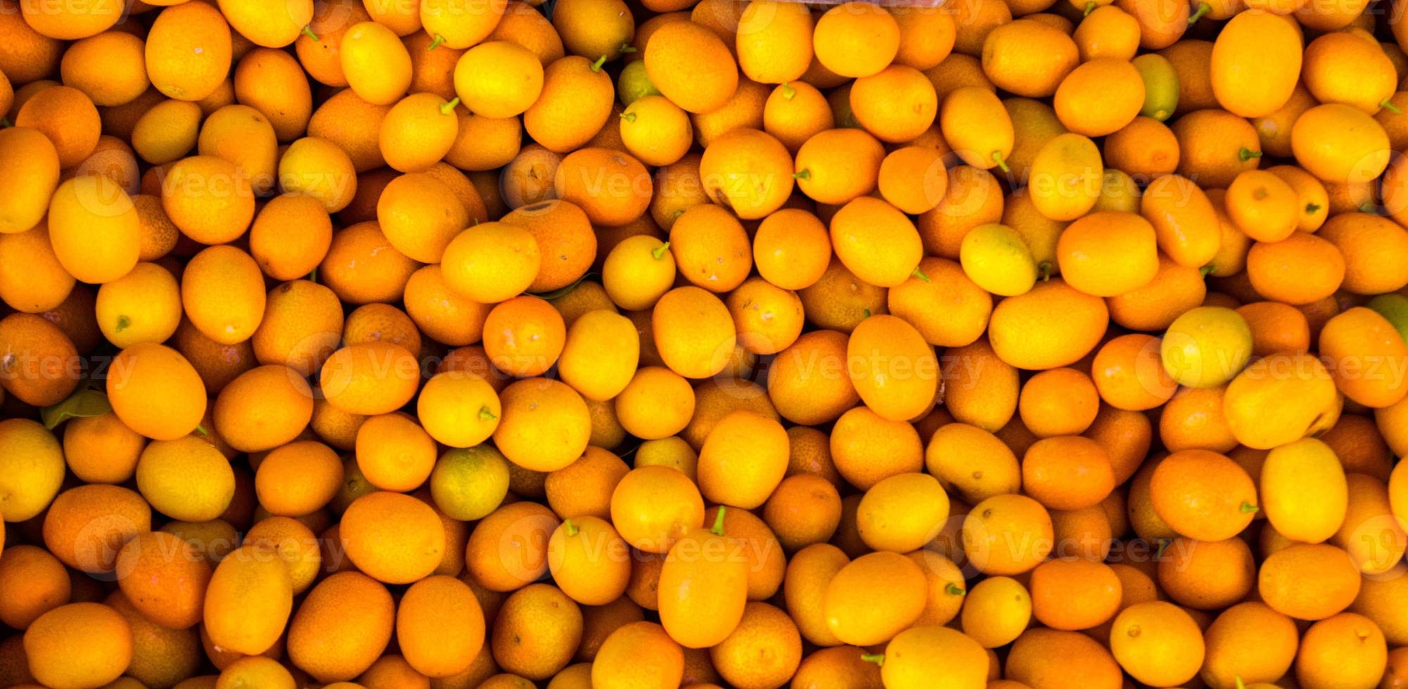 kumquats en las islas griegas de Corfú foto