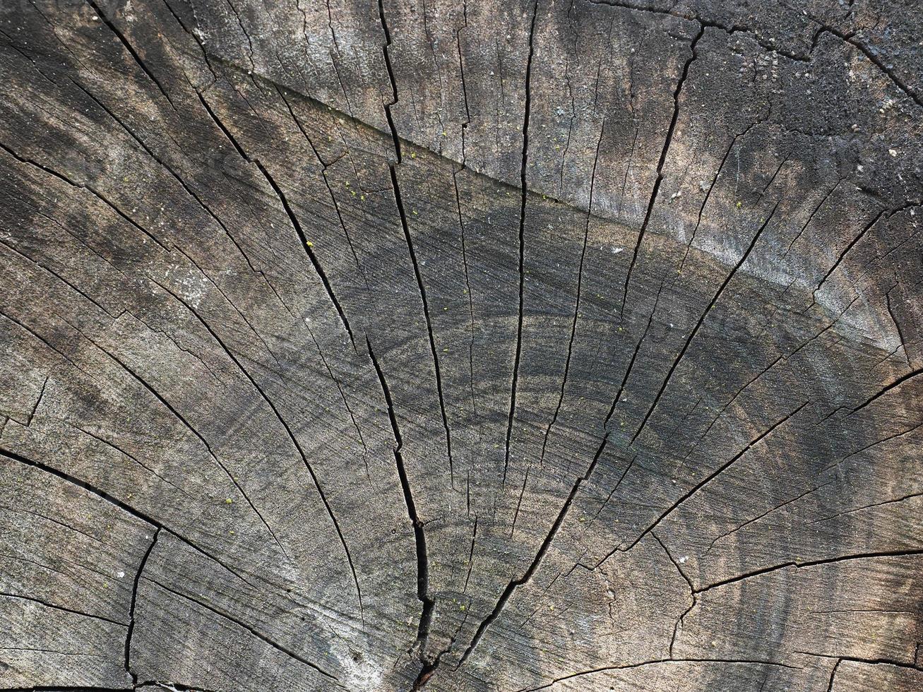 Fondo de textura de madera marrón oscuro foto