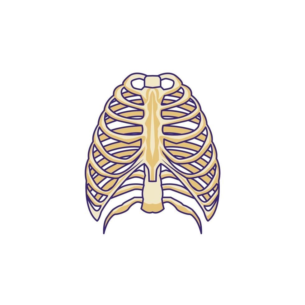 diseño aislado del ejemplo del vector del hueso del esternón