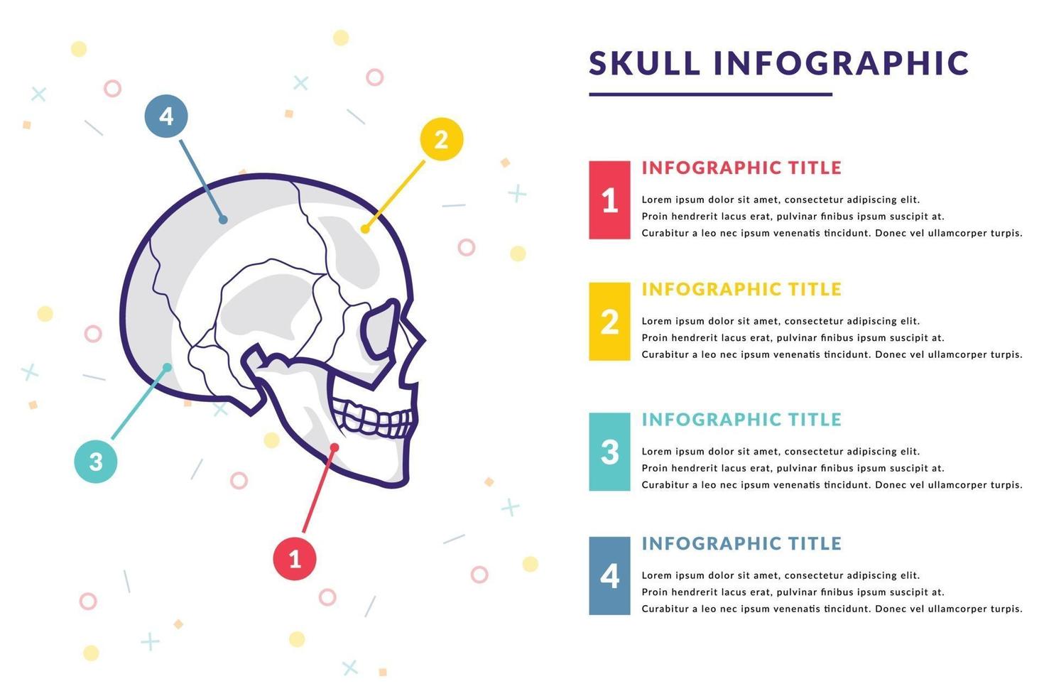 Human skull infographic vector template with the text of various color