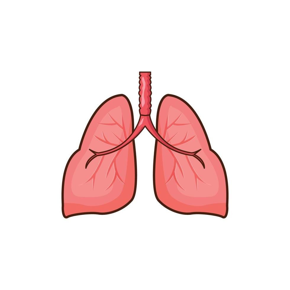 Ilustración de vector de órgano de pulmones humanos. diseño aislado de pulmones