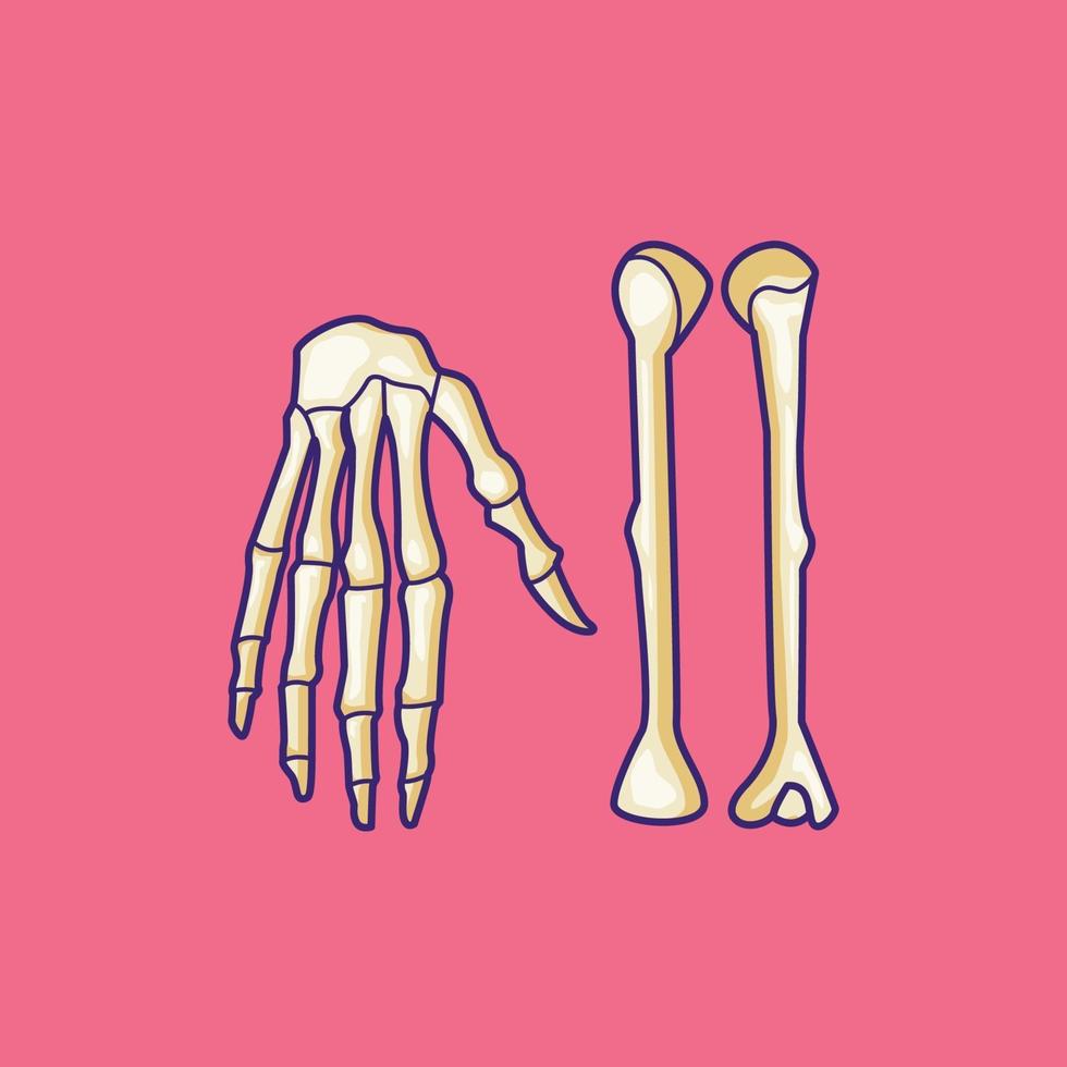 Ilustración de vector de hueso de brazo y hueso de mano