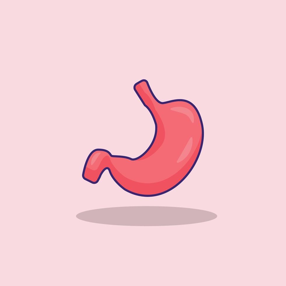 Ilustración de stock de vector de órgano de estómago humano, diseño aislado de estómago