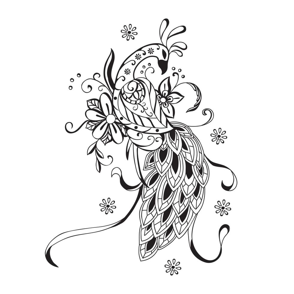 Beautiful  Hand drawn peacock vector