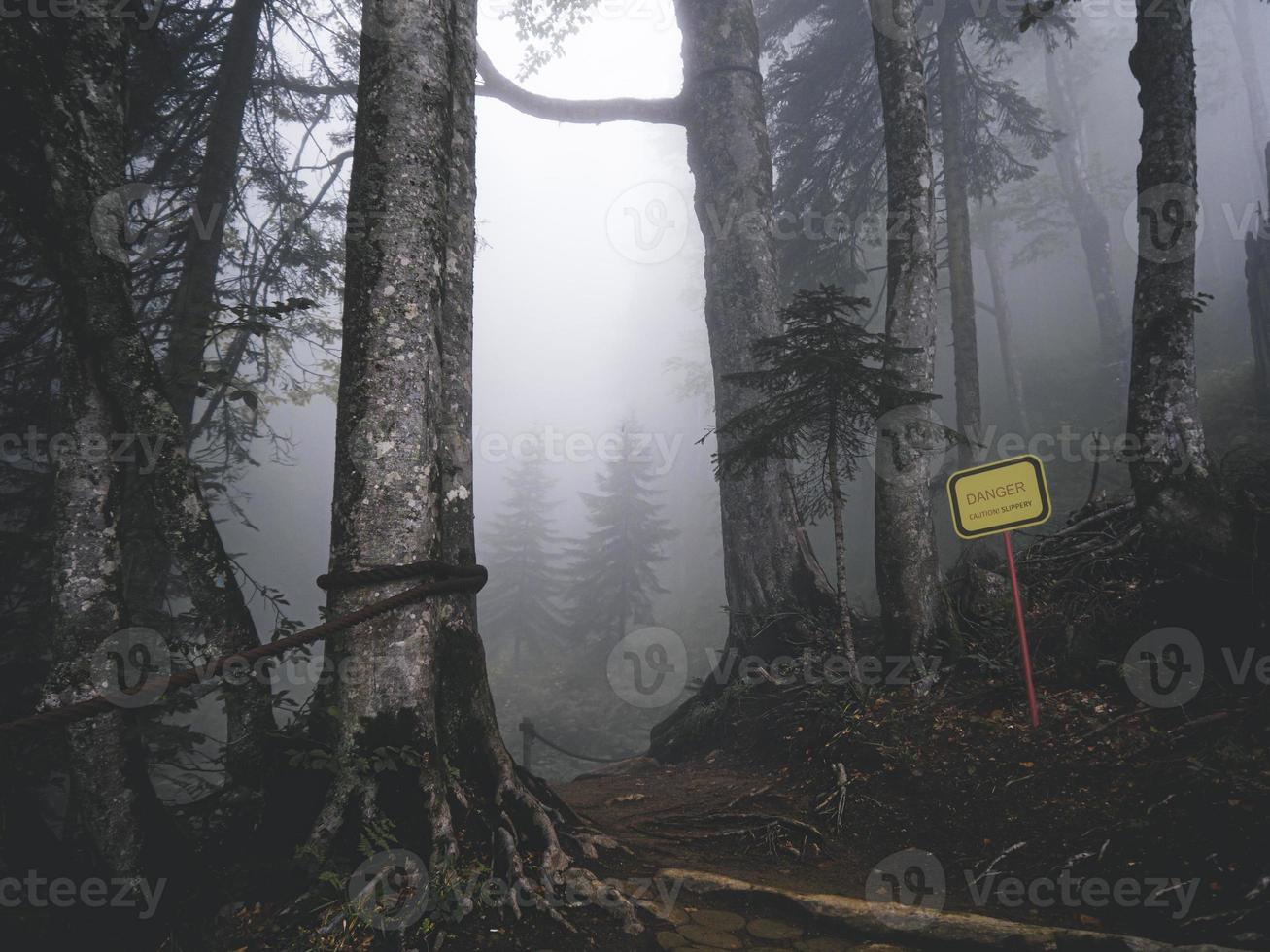 The sign Danger in the forest of Caucasus mountains. Trees in the fog photo