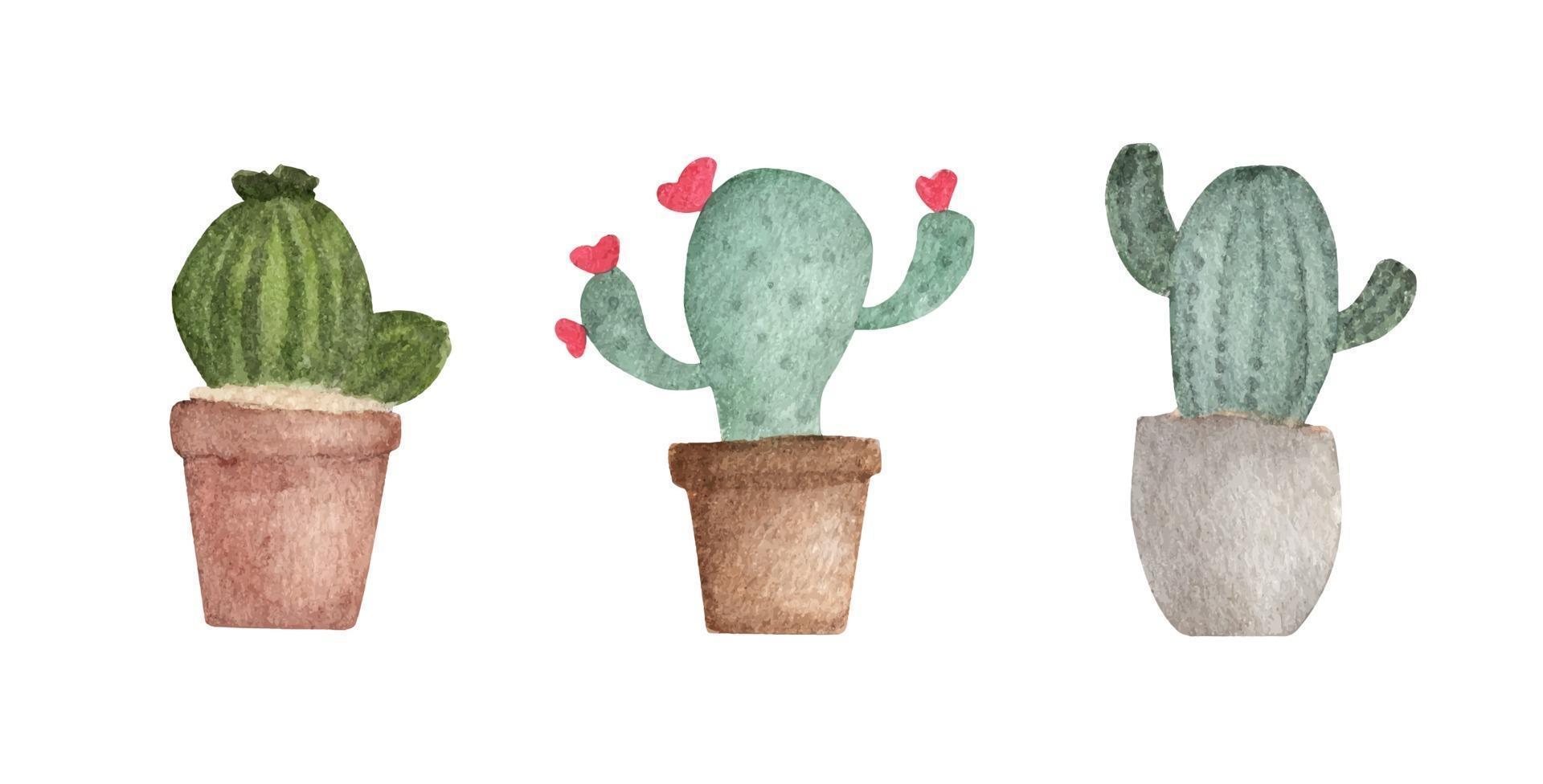 Watercolor illustration set cactus in flower pots. vector
