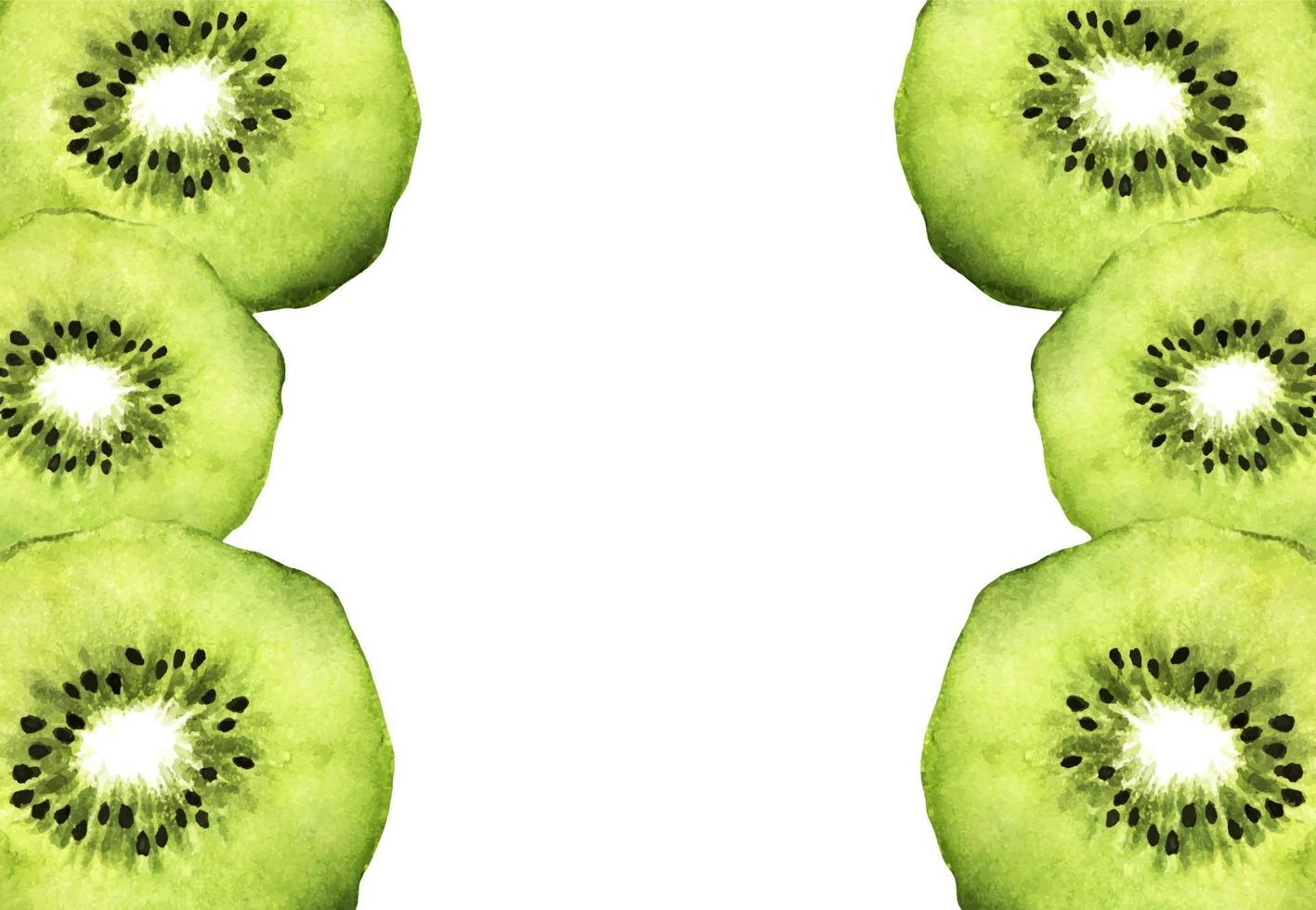 Slice of fresh kiwi fruit with place for text. Watercolor. vector