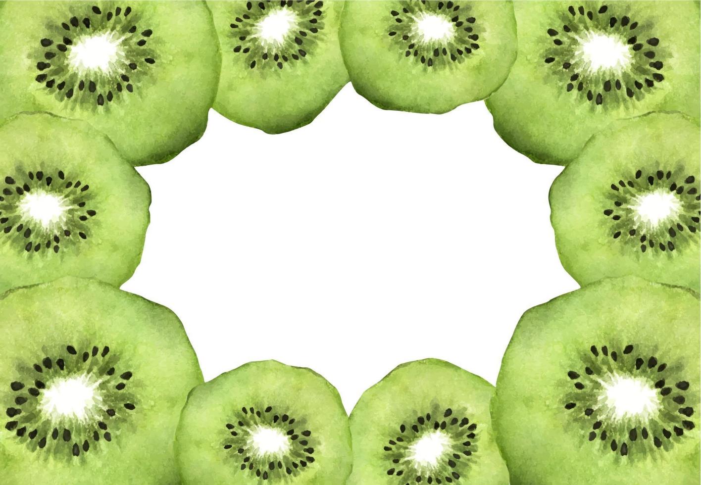 Slice of fresh kiwi fruit with place for text. Watercolor. vector