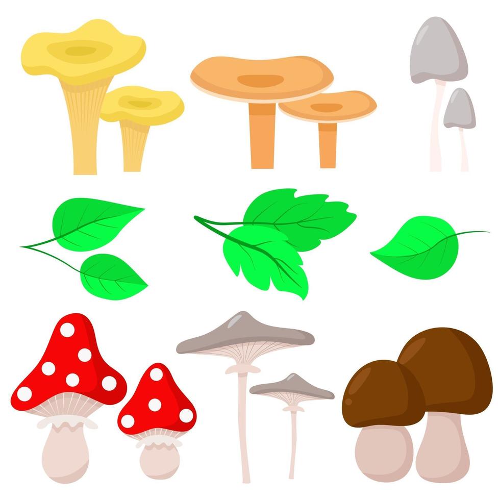 Mushrooms and leaves set vector illustration