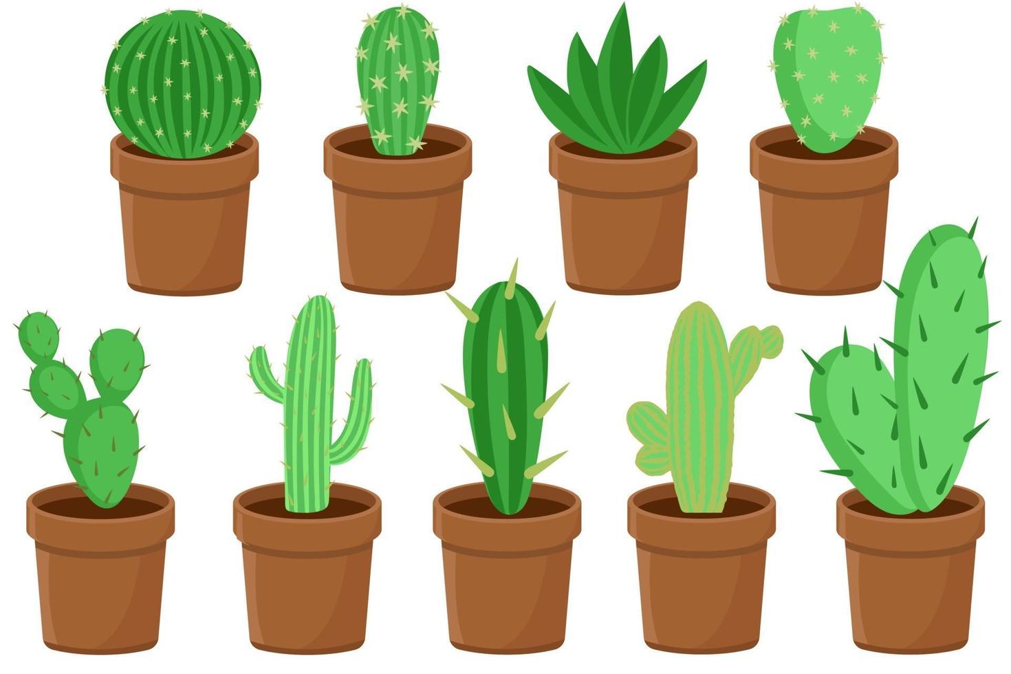 Set of various cacti in pots vector