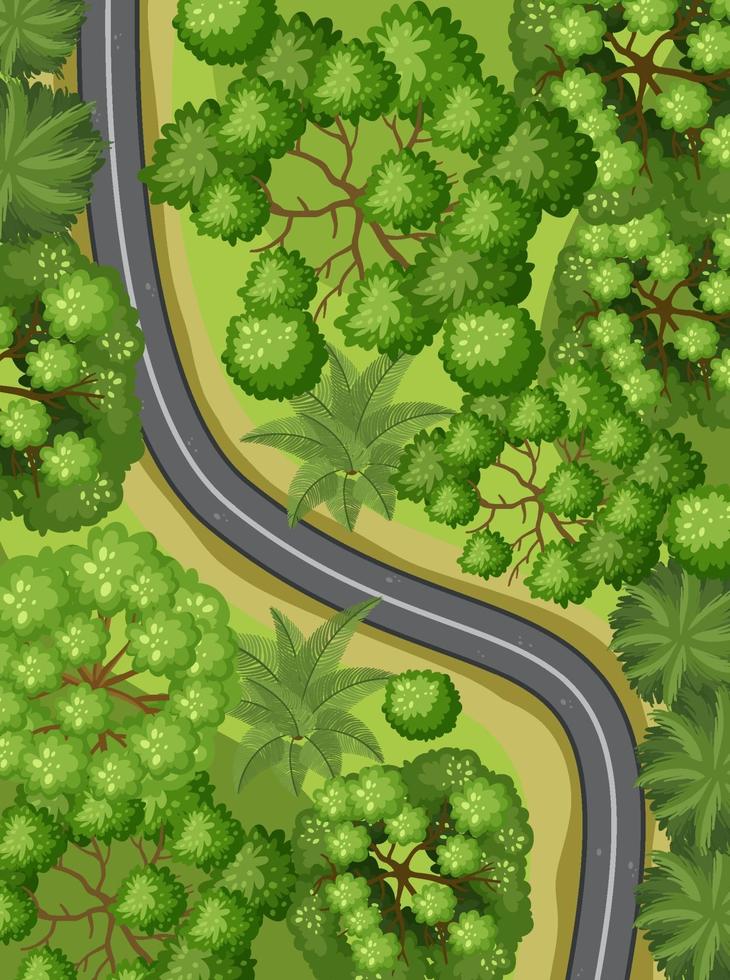 Aerial view with road through the forest landscape vector