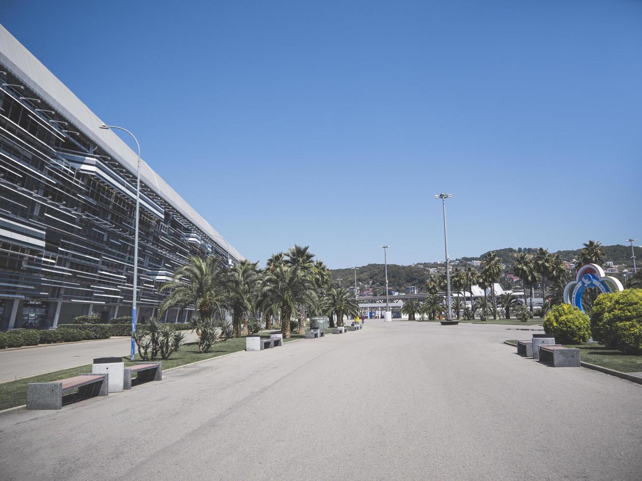 Sochi, Rusia, callejón con palmeras en el parque olímpico, 2019 foto