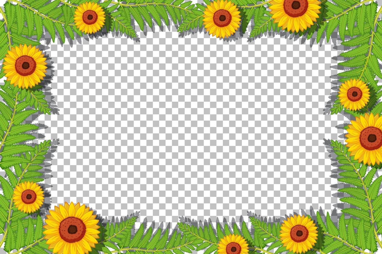 Sunflower frame template vector