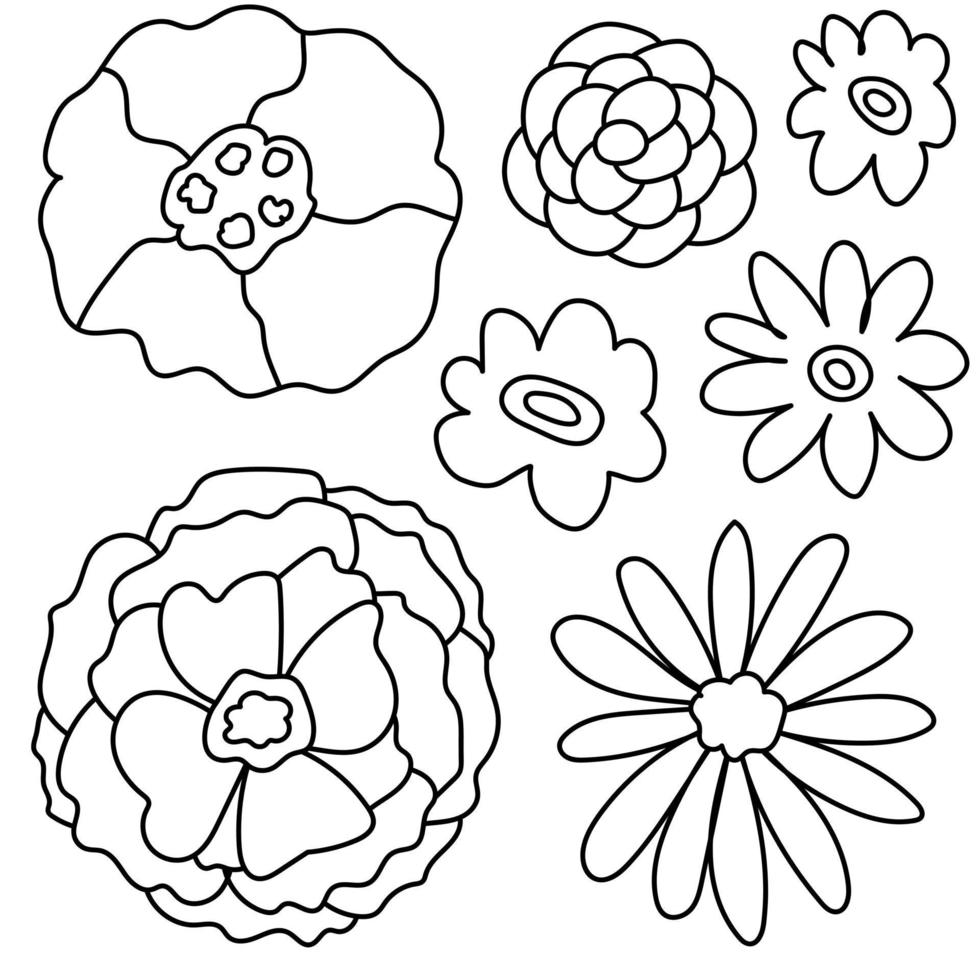 Flowers line coloring book doodles isolated vector